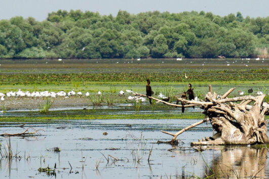 Dobrudzsa és Duna-delta