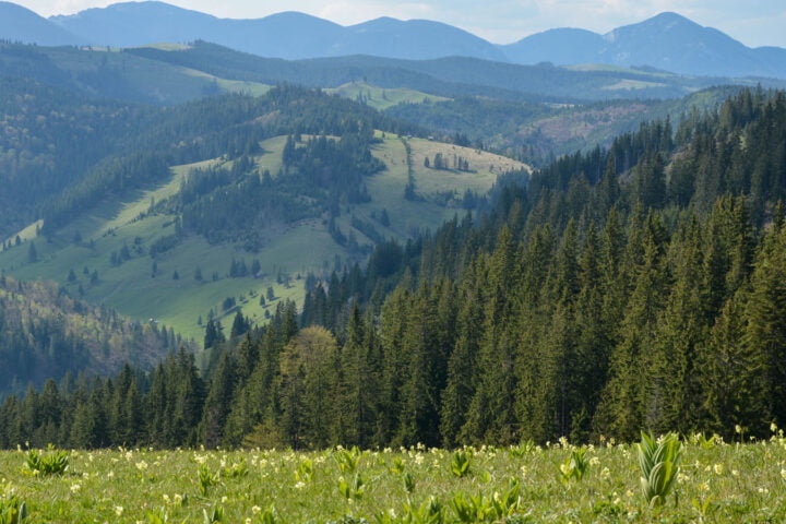 Kirándulás a Gyimesekben és a Vargyas-völgyében